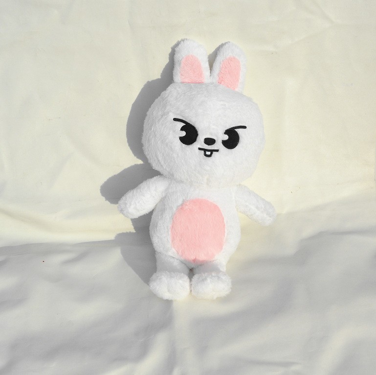 Kpop Stray kids Plush Doll Cute SKZoo BBOKARI PuppyM Dwaekki