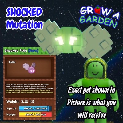 SHOCKED Pixie Pet. Age/Weight Shown In Photo. Grow A Garden. Same Day