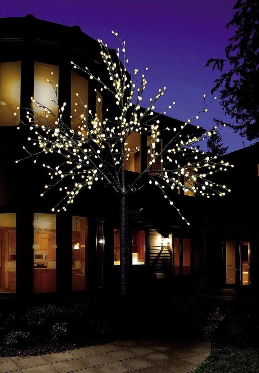 angeben Erhebt euch Versehentlich baum lichterkette innen Einspruch