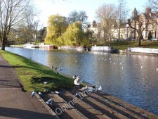 Photo 6x4 River Cam by Jesus Green Cambridge/TL4658 A number of houseboa c2011