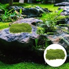 Kunstgräser Künstliche Grasmatte Künstlicher Rasen Grasdekoration