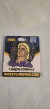RIC FLAIR - The Nature Boy - Pro Wrestling Crate - Lapel Pin WWE WCW NWA