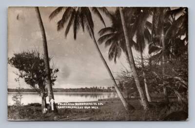 ''Palmeras Borrachas de Sol'' COATZACOALCOS Mexico RPPC Vintage Photo ~1940s