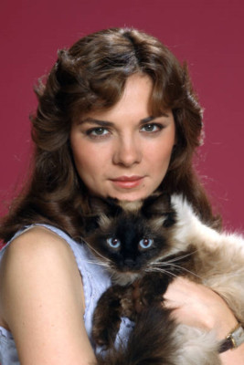 Kim Cattrall on The Good Witch of Laurel Canyon 1982 Television 4x6 Photo