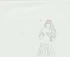 The Twelve Kingdoms Juuni Kokki Genga Douga Original Sketches Pierrot - Youko — photo 5
