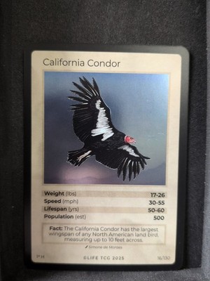 Life Tcg Birds: California Condor Holo Pop500! 1st Edition