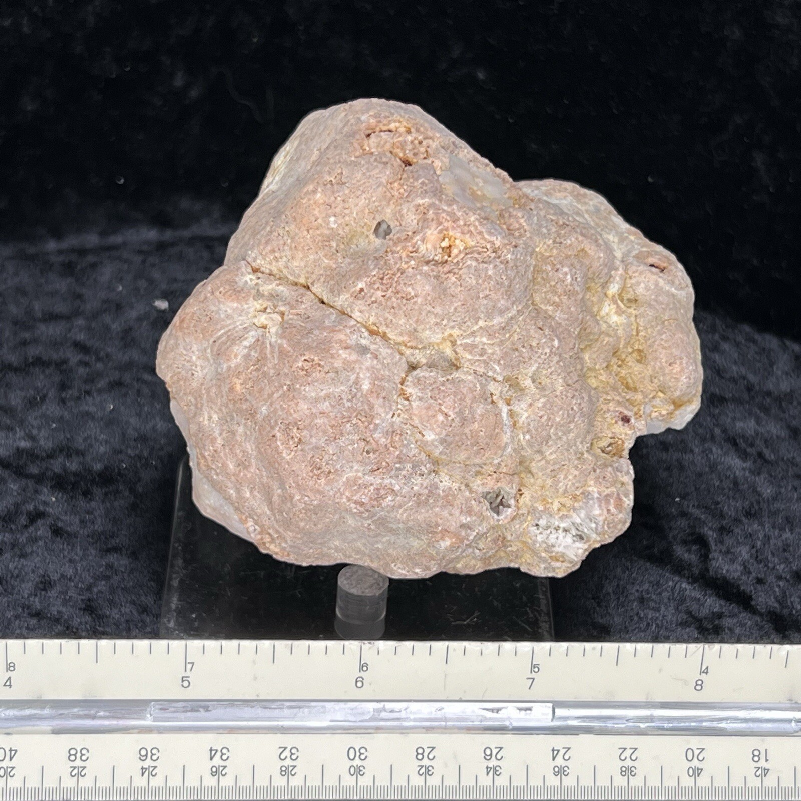 Picture 5 of 10