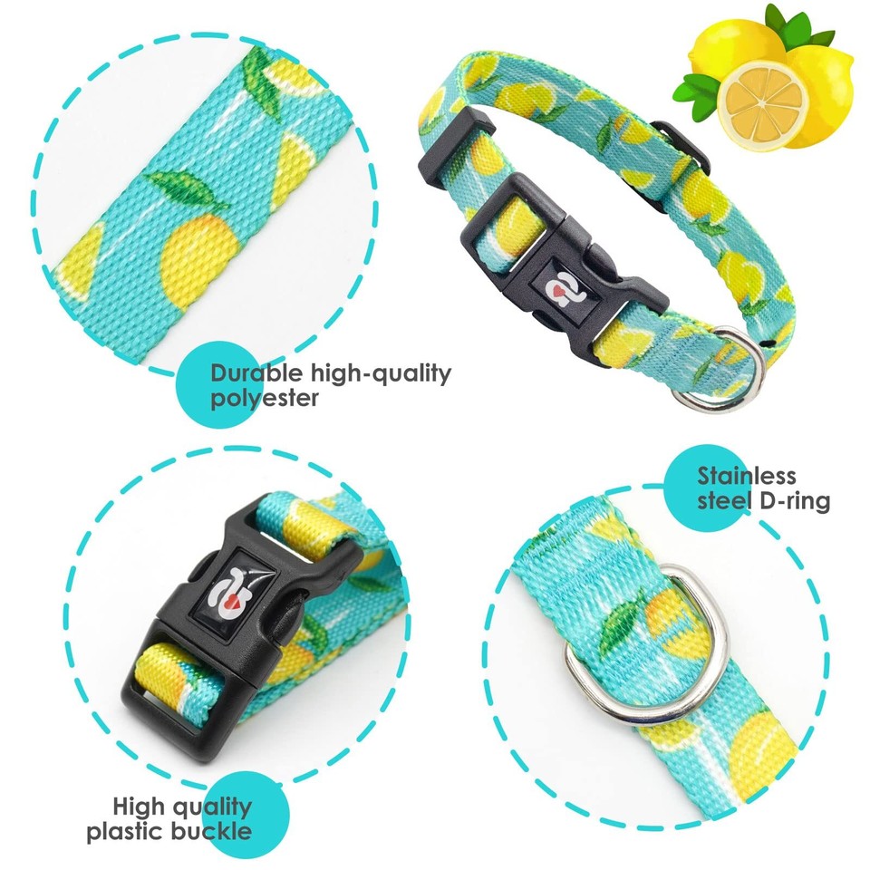 Dog Collar and Leash Set, Lemon Patterns on Blue Nylon Collar and