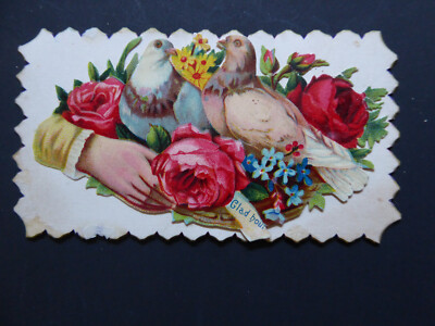 Assorted Doves Mineral Point Iowa County Wisconsin Victorian trade calling card