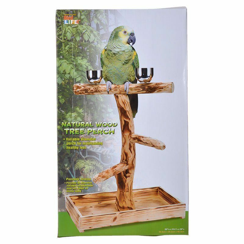 Penn Plax Bird Life Natural Wood Tree Perch 19" High  (Large Birds)