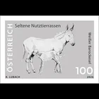 Austria 2026 White Baroque Donkey Blackprint