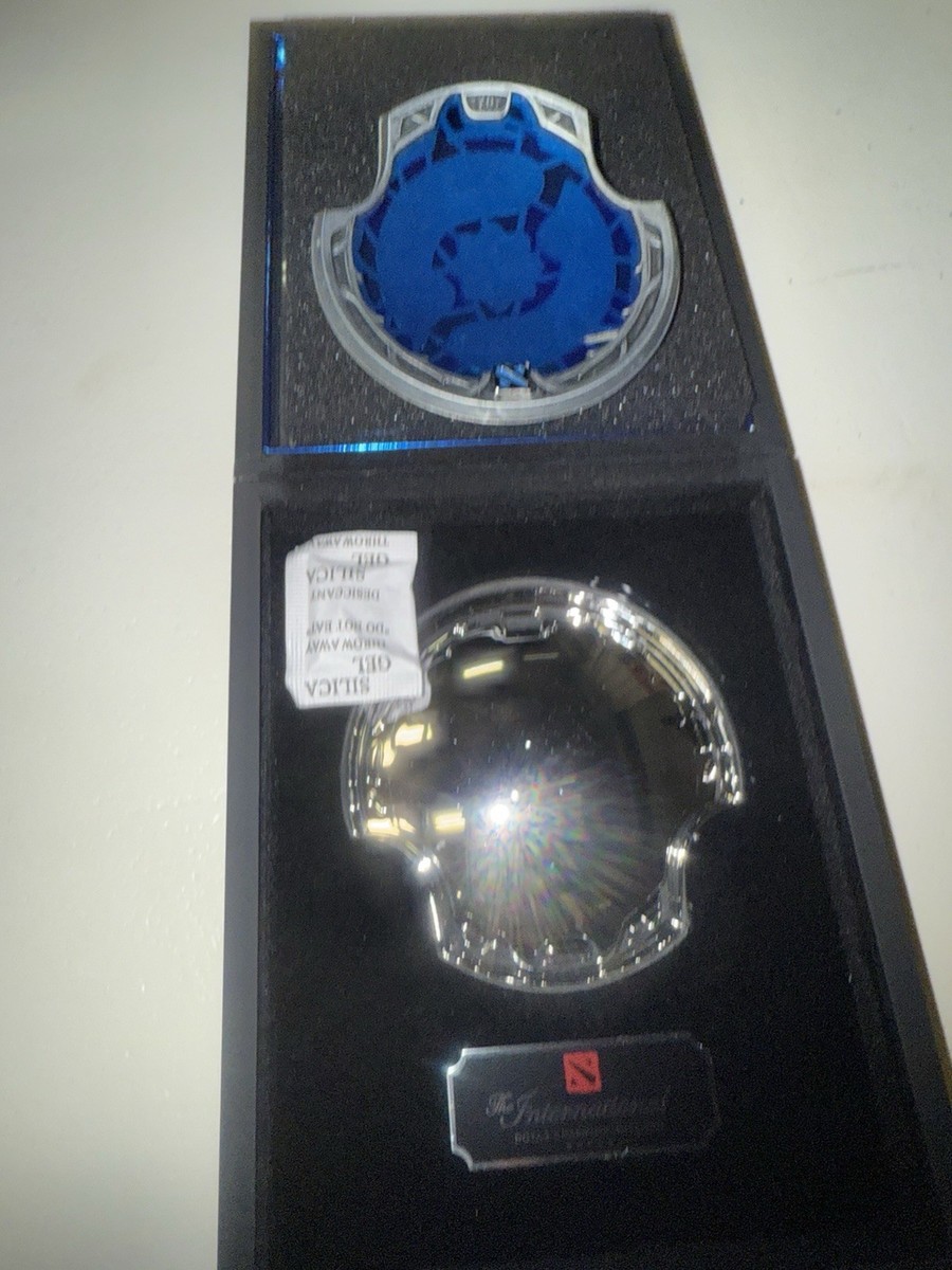 ゲームキャラクター Dota 2 Aegis TI12-The International 2023 2023 Collector's Aegis of Champions – Official DOTA 2 Battle