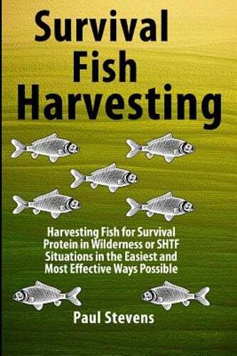 Wilderness Survival Fishing Guide for Protein in Emergencies