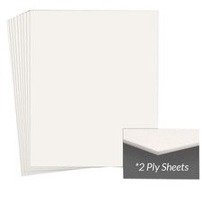 Archival Methods Mat Board,16x20in,2 Ply,Pearl Wht,25Pk