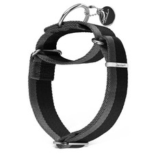 Martingale Collar 1.5 Inch Wide 1200D Extra Strong Nylon Dog Collar, No Pull ...
