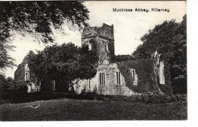 KILLARNEY, IRLAND - MUCKROSS ABBEY S/W POSTKARTE *