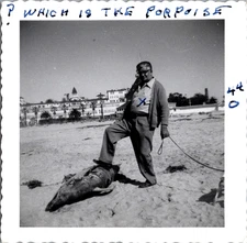 PH2365 CA California Hotel Del Coronado Man Porpoise Vintage Snapshot Photo