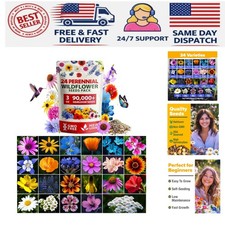 90,000+ Non-GMO Wildflower Seeds Mix - 3oz of 24 Varieties for Pollinators 255.73 per gallon