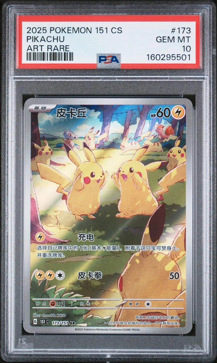 神奇宝贝TCG 罕见口袋妖怪收藏品个人纸牌游戏中文| eBay