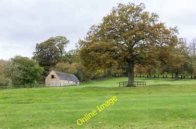 Photo 6x4 Oak tree west of the footpath Batsford View west from the footp c2014