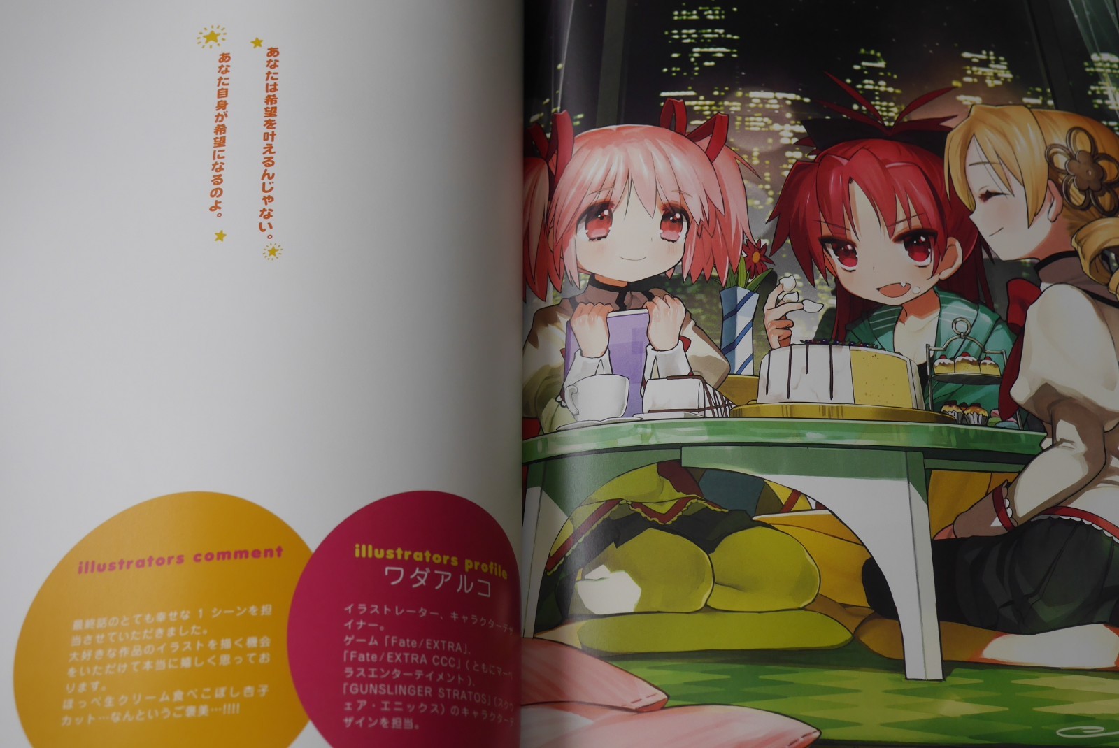 Japan Puella Magi Madoka Magica The Illustrated Book Art Book Ebay