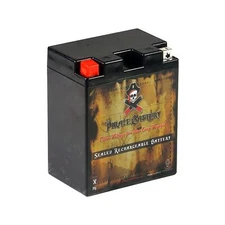 Pirate Battery YB14A-A2 Conventional Replacement Battery for ATV, Motorcycle,...