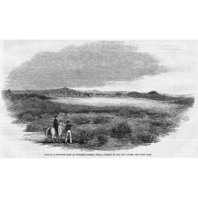 HAMPSHIRE Gelände des vorgeschlagenen Militärlagers im Woolmer Forest - antiker Druck 1859