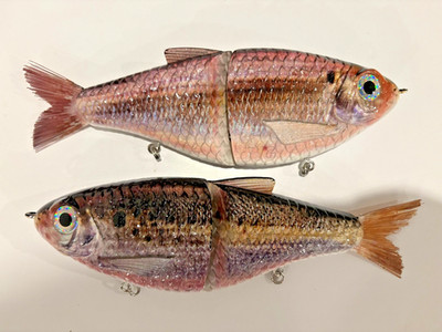 TYG Silencer Glide bait swimbait custom 7 inch 2 Glide baits NEW A