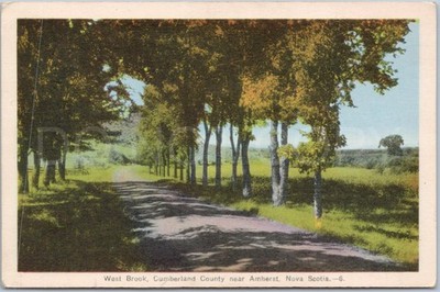 Amherst Baum gesäumte Straße Vintage Postkarte Kanada Künstlerisch West Brook Nova Scotia