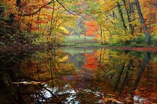 Landscape river fall reflection pond nature trees water Custom Gaming Mat Desk
