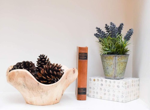 24 Pine Cones Natural Bug Free 3-4" Tall Home Accent Decor Crafting - Picture 6 of 7