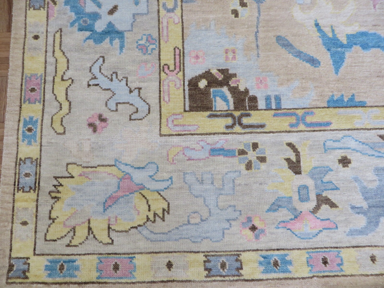 Picture 2