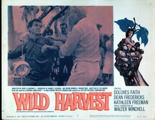 Wild Harvest (1961) 11x14 Lobby Card #7