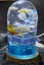 Fish Tank Night Light