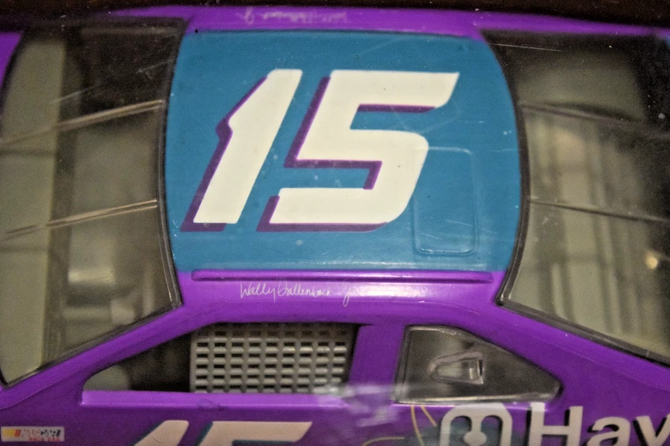 1996 年赛车冠军 Wally Dallenbach #15 海耶斯调制解调器福特雷鸟 — 第 4/4 张图片