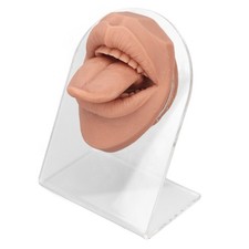 Human Tongue Model Soft Silicone Lifelike Acrylic Stand Mouth Model For