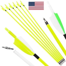 12X 30" Carbon Arrow SP500 Turkey Feather Screw Point Recurve CompoundBow Hunt