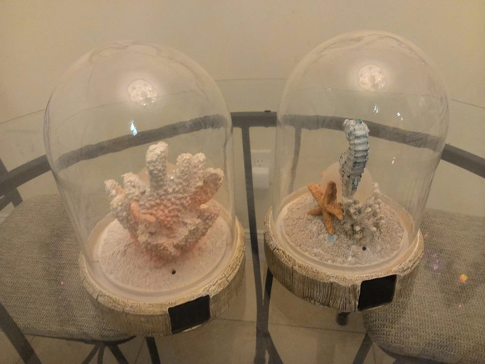 2 X NOVA Luz LED Solar Pearl Mood & Seahorse em Tampa de Vidro 8,5" A X 5,5" W - Imagem 3 de 4