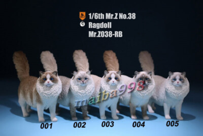 【完売品】ダイヤモンドアートクラブ　Rolo the Ragdoll Cat Mr.Z 1/6 Ragdoll Figure – Lana Time Shop