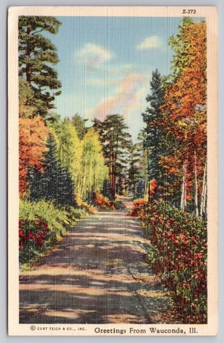 1940er - Grüße aus Wauconda Illinois - Lake County Curt Teich Leinen Postkarte