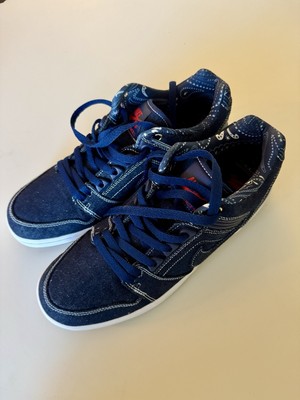 Nike SB Air Force 2 Low Rivals Pack West AO0298-441, Men