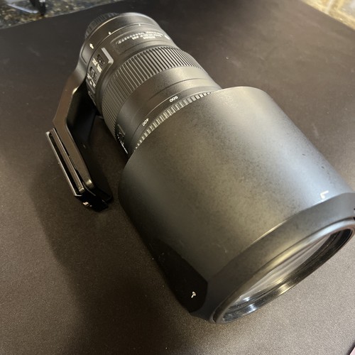 Nikon AF-S NIKKOR 200-500mm 1:5.6E ED VR Telephoto Lens, Hood