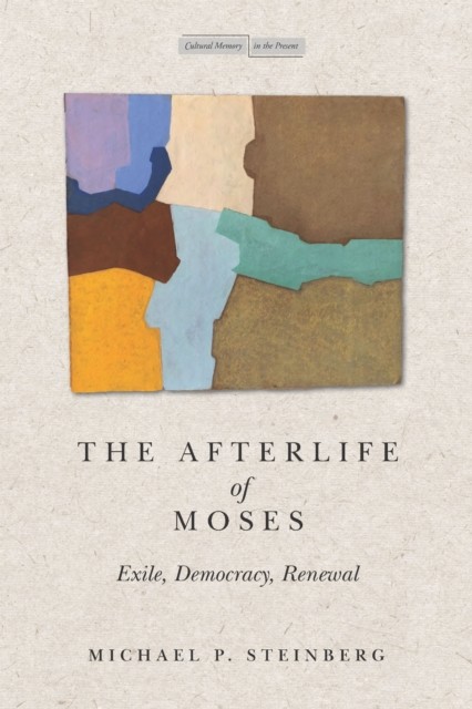 The Afterlife of Moses: Exile, Democracy, Renewal by Michael Steinberg PAPERBACK