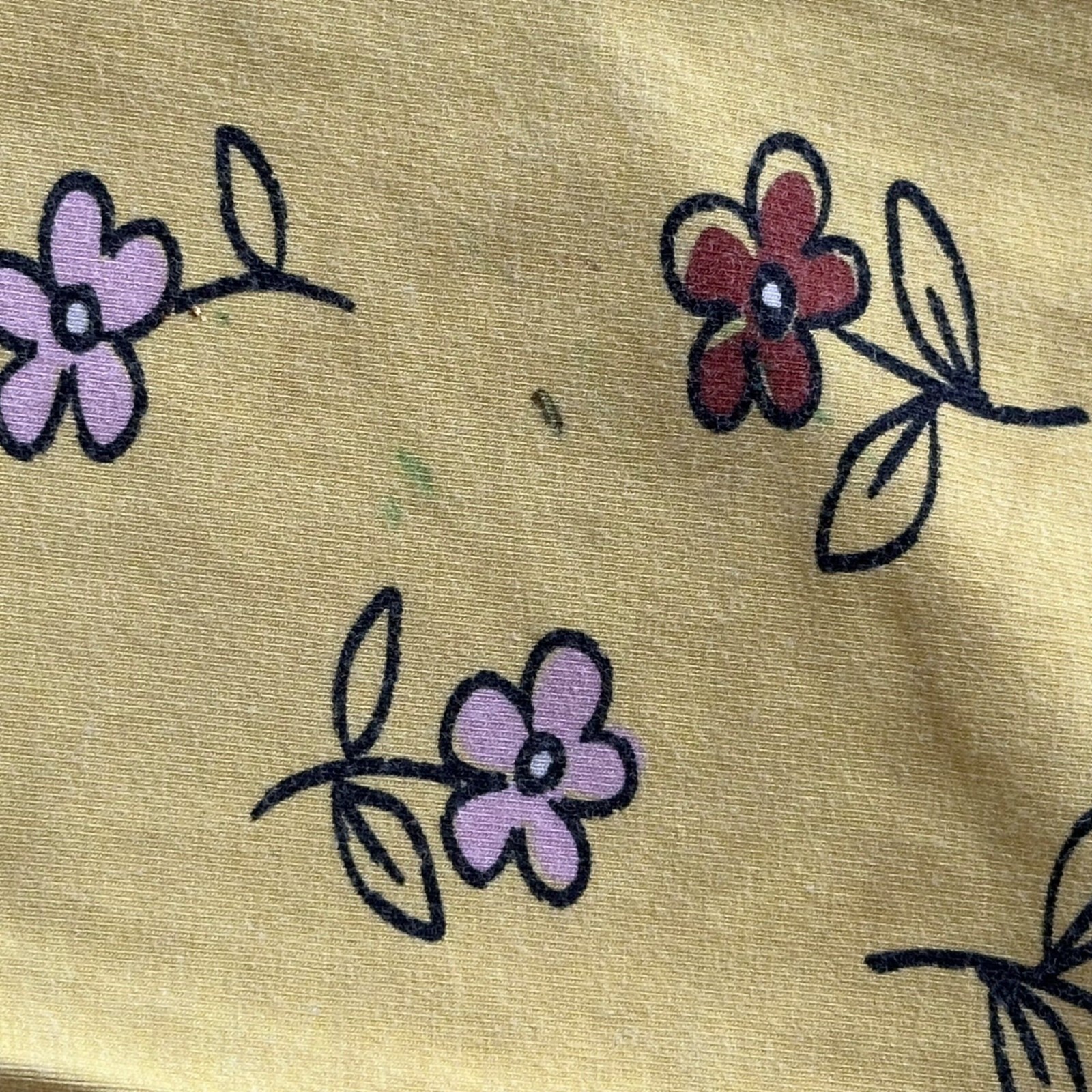 Picture 13 of 15
