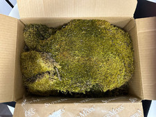 Super Moss 3lb Box Mood Moss / 21538