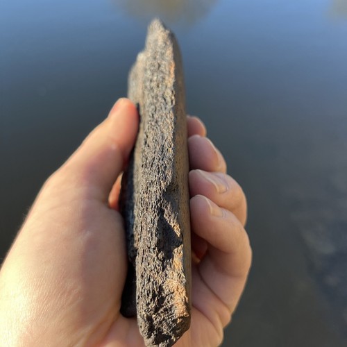 Fossilized Extinct Baleen Whale Rib Bone Fossil Segment- Not Modern - Picture 7 of 8