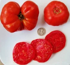 Grandma Freida's - Very Rare! - +25 Seeds - Buy any 3 or more items, 10% off!