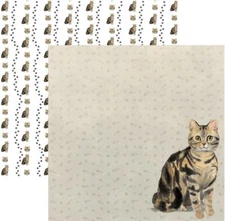 American Tabby Watercolor, Cat Portrait, scrapbook paper, DS, 30766