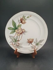 Mento  China Woodrose Plate Ivory China 10 In Made In Japan R5