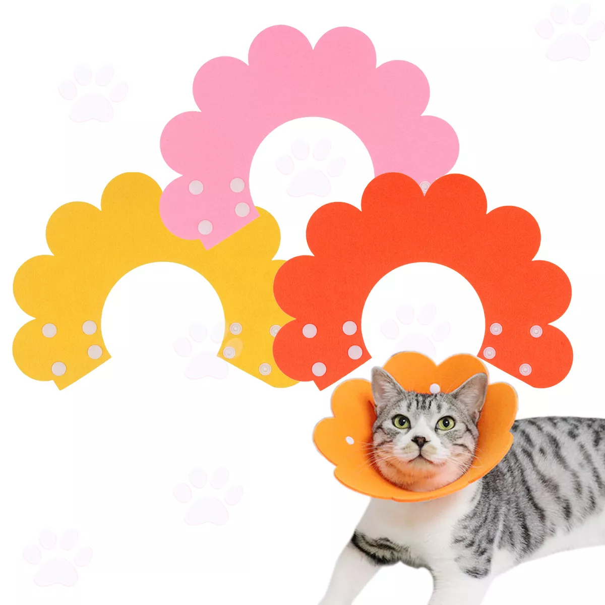 Soft cat sale cone uk